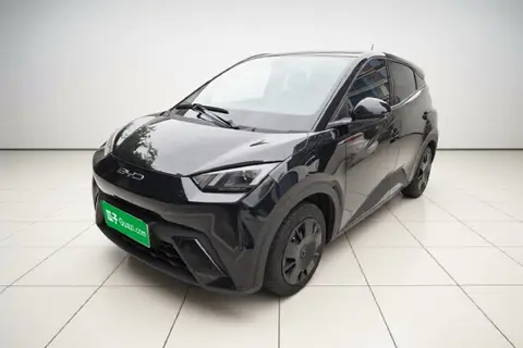 BYD Seagull 2023