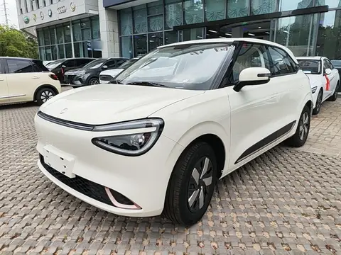 Dongfeng Nammi 01 2026