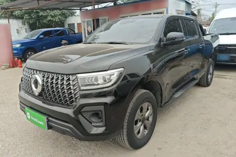 Great Wall Poer 2025