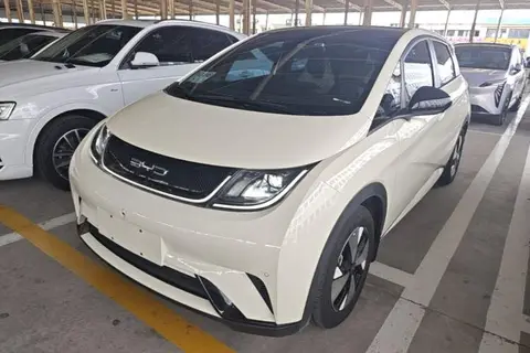 BYD Dolphin 2023
