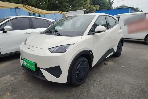 BYD Seagull 2025