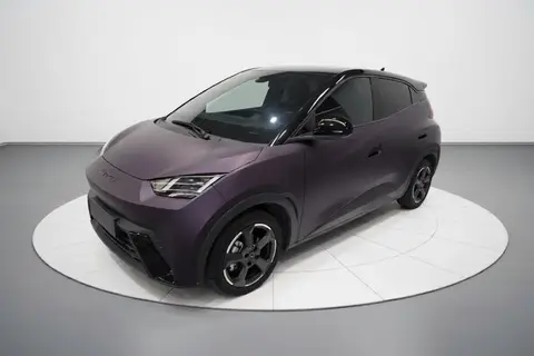 BYD Seagull 2024