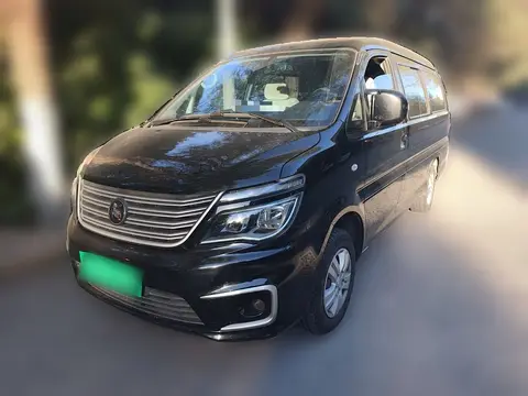 Forthing Lingzhi 2021