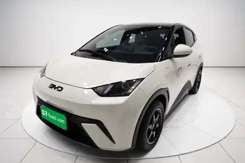 BYD Seagull 2024