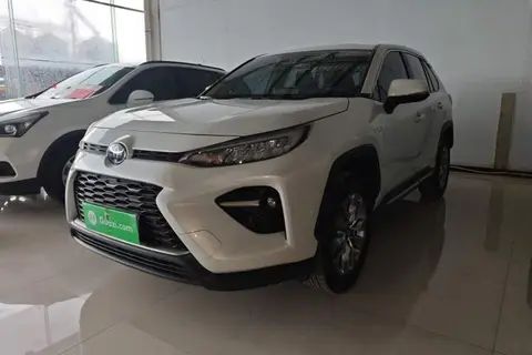 Toyota Wildlander 2021