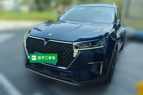 Venucia Star 2020