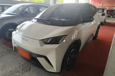 BYD Seagull 2024