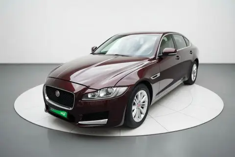 Jaguar XFL 2017