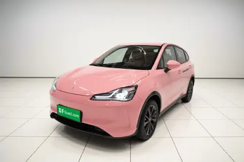 NETA V 2022