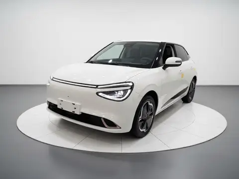 Dongfeng 01 2025