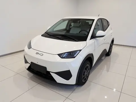 BYD Seagull 2026