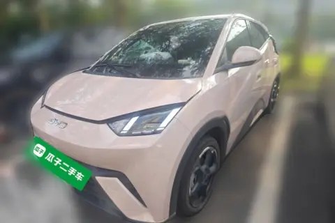 BYD Seagull 2024