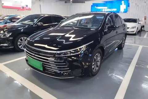 BYD Destroyer 05 2024