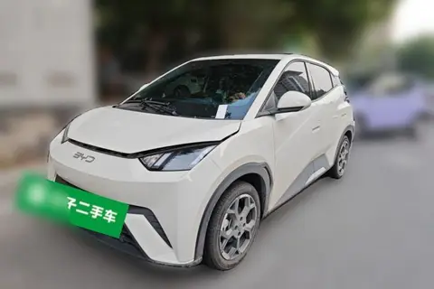 BYD Seagull 2024