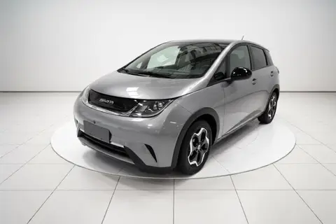 BYD Dolphin 2022