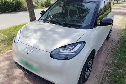 Wuling Bingo 2024
