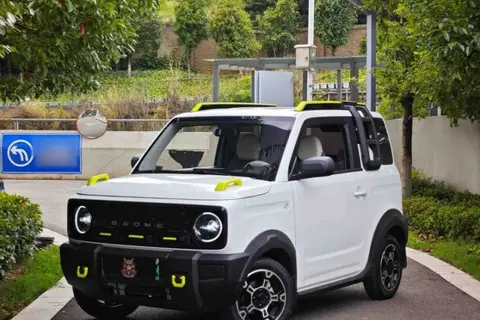 Geely Panda 2024