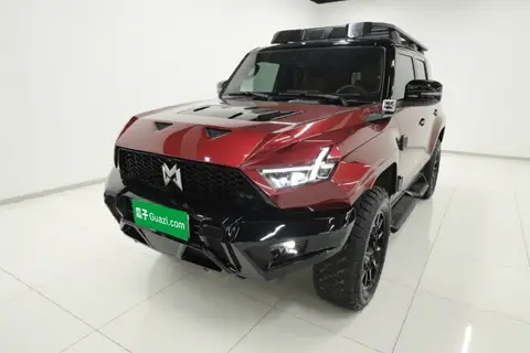 Mengshi 917 2024
