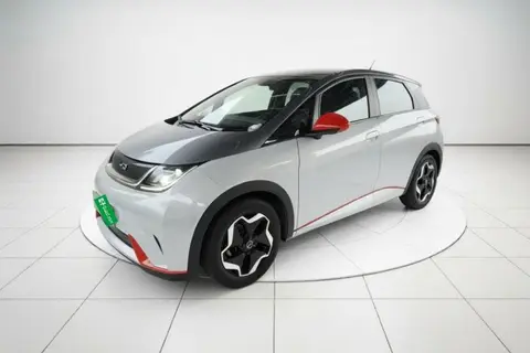 BYD Dolphin 2022