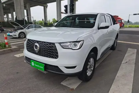 Great Wall Poer 2020