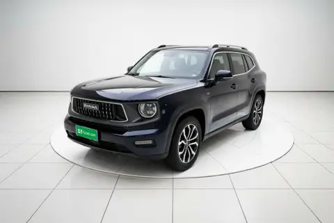 Haval H Dog 2023