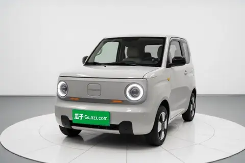 Geely Panda 2024