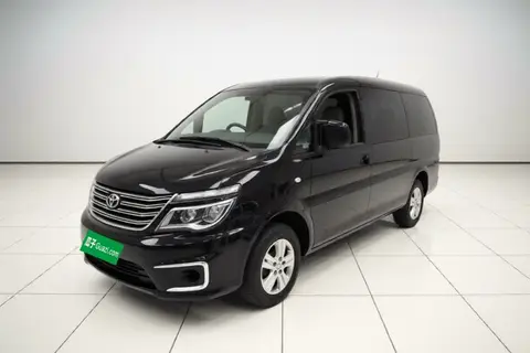 Forthing Lingzhi 2019