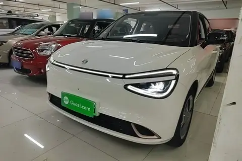 Dongfeng Nammi 01 2024
