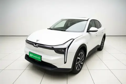 NETA U 2021