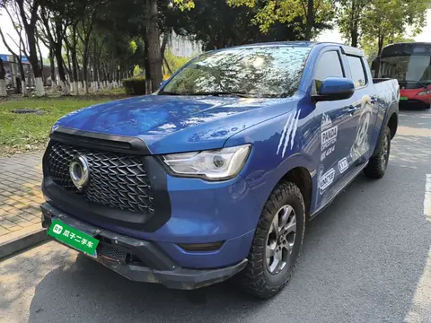 Great Wall Poer 2021