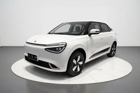 Dongfeng Nammi 01 2025