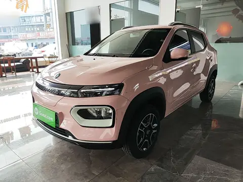 Dongfeng Nammi Box 2023