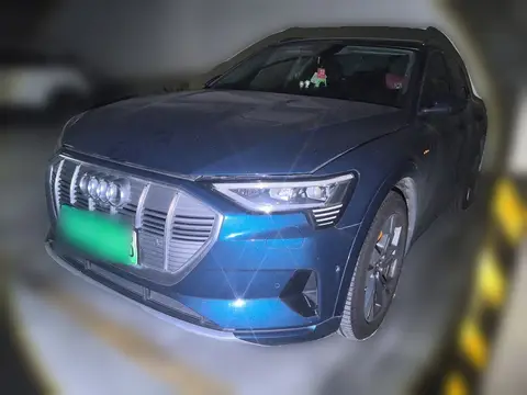 Audi e-tron 2019