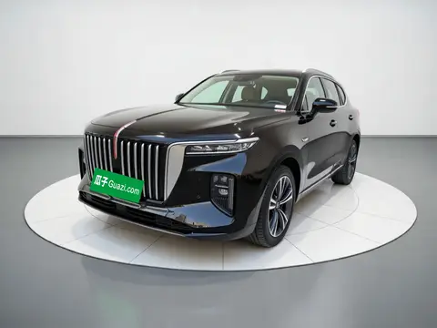 Hongqi E-HS9 2021
