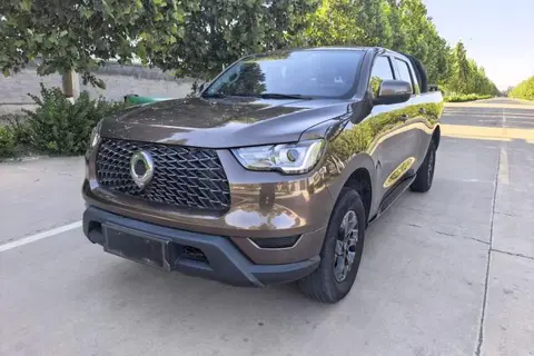 Great Wall Poer 2022