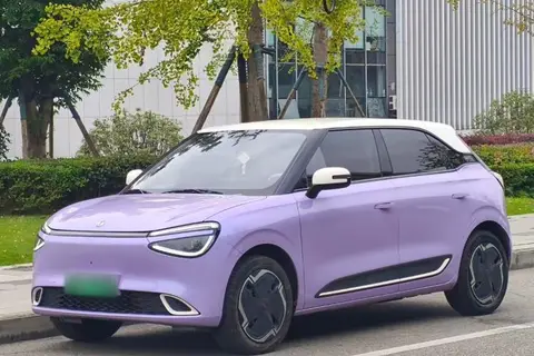 Dongfeng Nammi 01 2025