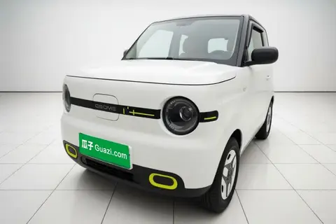 Geely Panda 2025