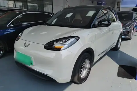 Wuling Bingo 2024