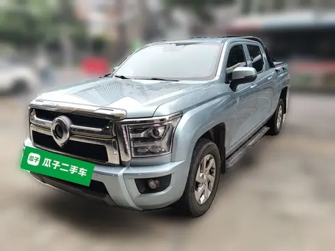 Great Wall King Kong Poer 2024