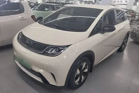 BYD Dolphin 2025