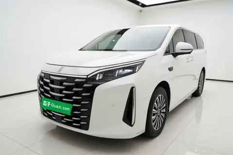BYD Xia 2024