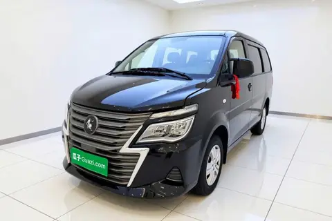 Forthing Lingzhi 2024
