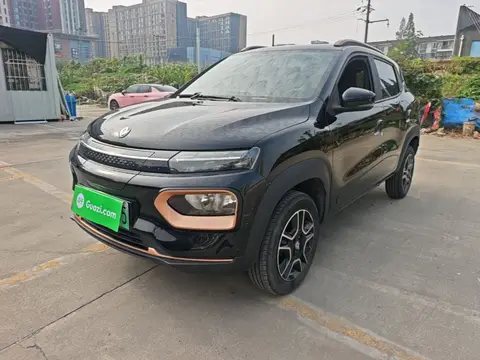 Dongfeng Nammi Box 2023