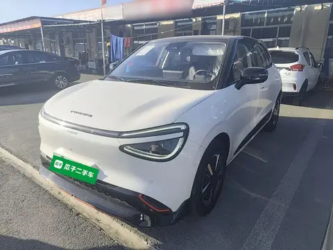 Dongfeng Nammi 01 2024