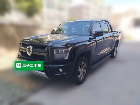 Great Wall King Kong Poer 2024