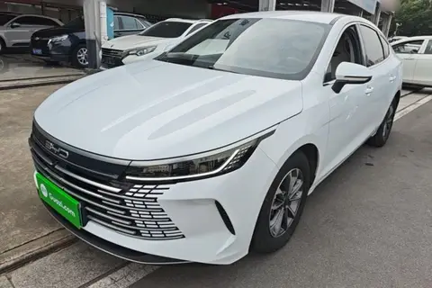 BYD Destroyer 05 2024