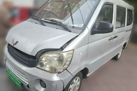 Wuling Zhiguang 2014