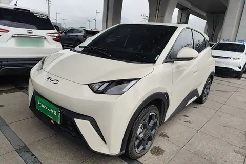 BYD Seagull 2024