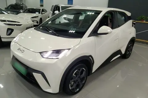 BYD Seagull 2024