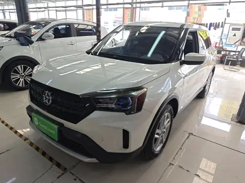 Venucia T60 2019